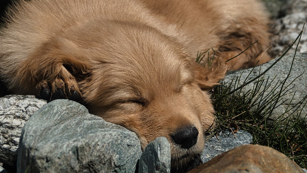 Alvás: A kulcs az egészséges élethez